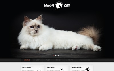 "Conceptual Cat WordPress Theme" Responsive WordPress thema №42117