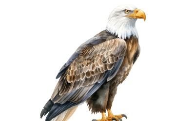 Aranyos Bald Eagle Bird Baby akvarell kézzel készített illusztráció 1