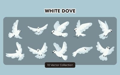 White Dove Vector Set Collection