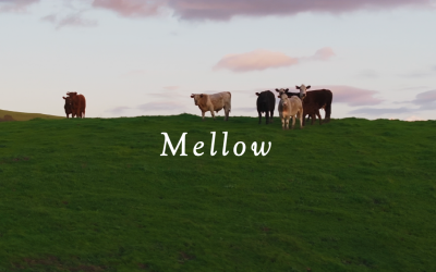 Brisa Suave / Relajante LoFi