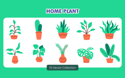 Kolekcja wektorów roślin domowych