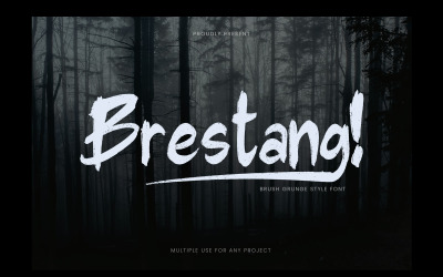 Schriftart - Brestang Thriller Pinselstil