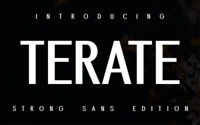 Schriftart Demore Terate Sans Strong