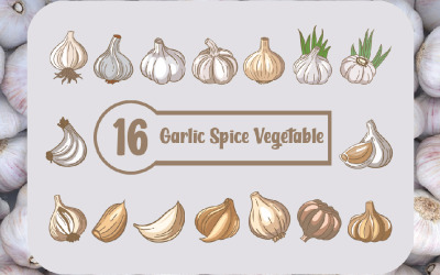 16 Garlic Spice Food Vegetable