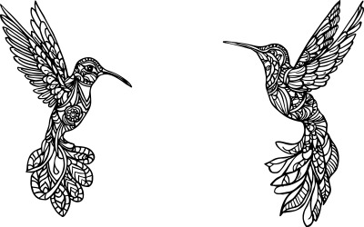 Colibrí estilizado zentangle. Ilustración de vector dibujado a mano aislado en blanco