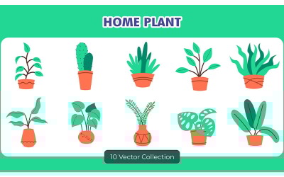 Colección de conjuntos de vectores de decoración de plantas caseras