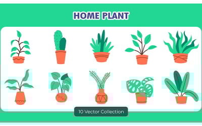 Huis Plant Decor Vector Set collectie