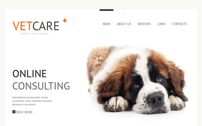 Premium Moto CMS HTML Template over Dierenarts №43232