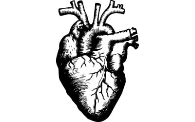 human heart with half stone and half flesh ink drawing illustration