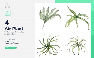 Air Plant Plant Leaves Watercolor 4 Set