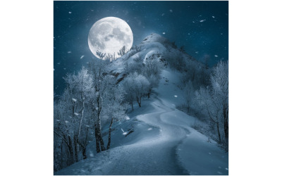 A moonlight night photo illustration