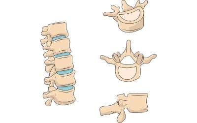 Ländryggskotor medicinsk illustration