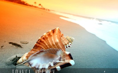 Travel Agency Moto CMS HTML Template