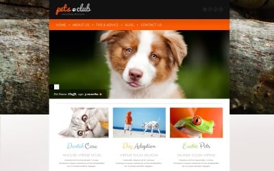 Fehér állatok és háziállatok WordPress téma