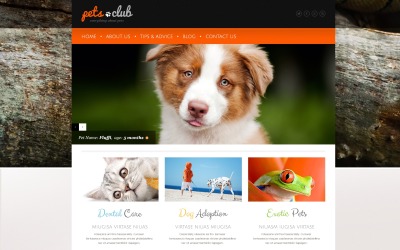 Reszponzív White Animals & Pets WordPress sablon 44159