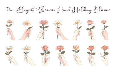 10+ Kvinna Hand Håller Blomma Blomma
