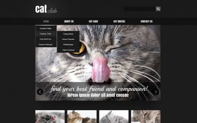 Responsieve websitesjabloon voor Cat