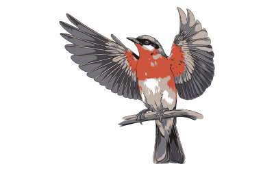 Fågelkonstillustration med vit bakgrund