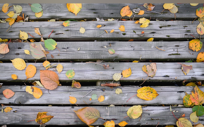 Festive autumn Rustic Wooden Table leaves. 68