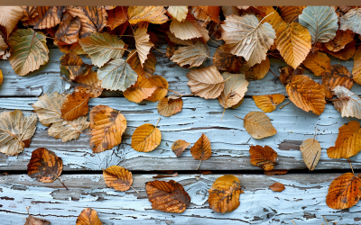 Festive autumn Rustic Wooden Table leaves flowers 83