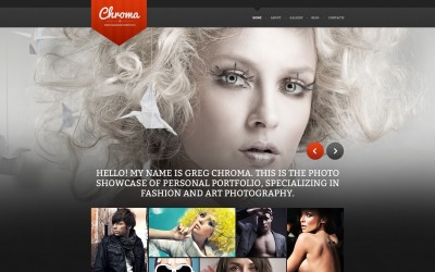Photographer Page Drupal Template
