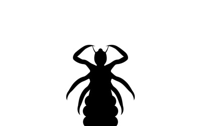 Silhouette Head Human Louse Pediculus Humanus