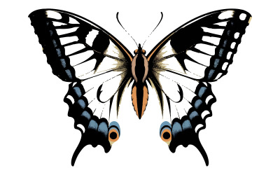 Ícone de inseto de borboleta de beleza fundo branco