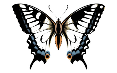 Icono de insecto mariposa de belleza sobre fondo blanco