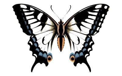 Schönheit Schmetterling Insekt Symbol weißer Hintergrund