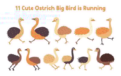 11 Cute Ostrich Big Bird is Running