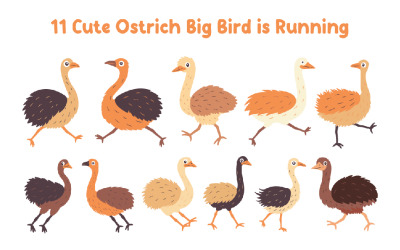 11 Schattige struisvogel Grote vogel rent