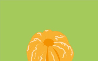 Whole peeled mandarin, isolated vector