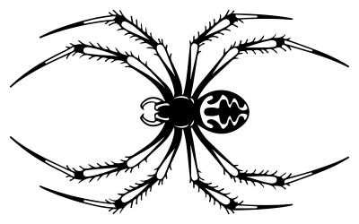 A spider silhouette  illustration