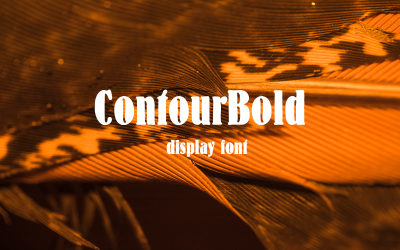 ContourBold-09-24-Vanlig