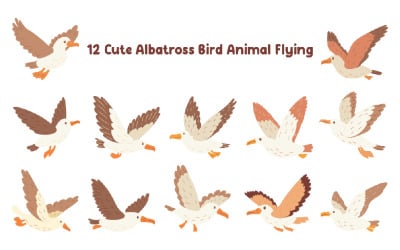 12 Cute Albatross Bird Animal Flying