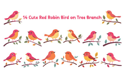 14 Cute Red Robin Bird on Tree Branch