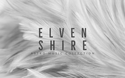 Owls Of Night / ELVEN SHIRE