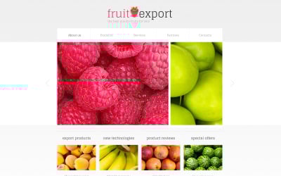 Modèle de site Web réactif aux fruits