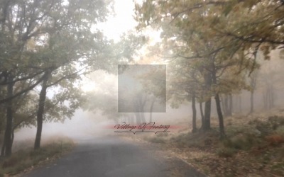 Happy Journey / VILLAGE OF FANTASY