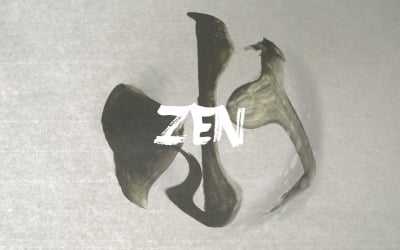 Gleichgewichtsserenade / ZEN