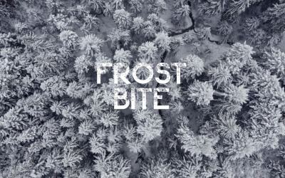 Serenade / FROST BITE Originele soundtrack