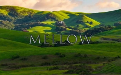 Relaxed Tone / LoFi Mellow