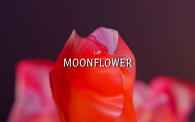 Star Flower / LoFi Moonflower