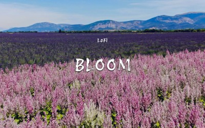 Bloom Glow / LoFi Bloom Original Soundtrack