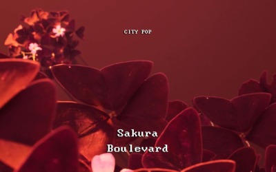 Sakura Serenity / City Pop Sakura Boulevard