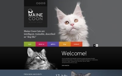 Duyarlı Kedi Web Sitesi Şablonu