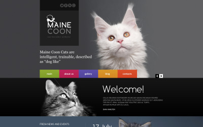 Responsive Website Vorlage für Katze #45870