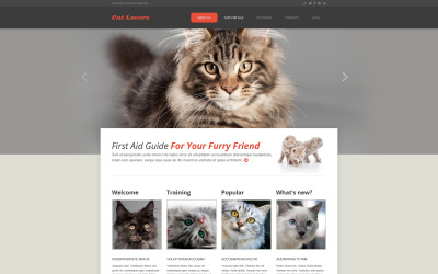Responsive Website Vorlage für Katze #45894
