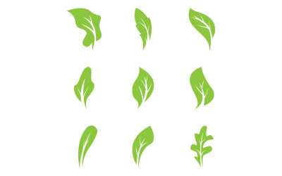 Grünes Blatt, Baumelement, Logo, Symbol, Vektorvorlage, Version 10