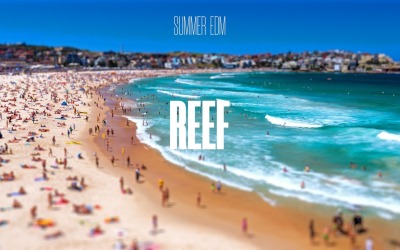 Coral Garden / Summer EDM Reef